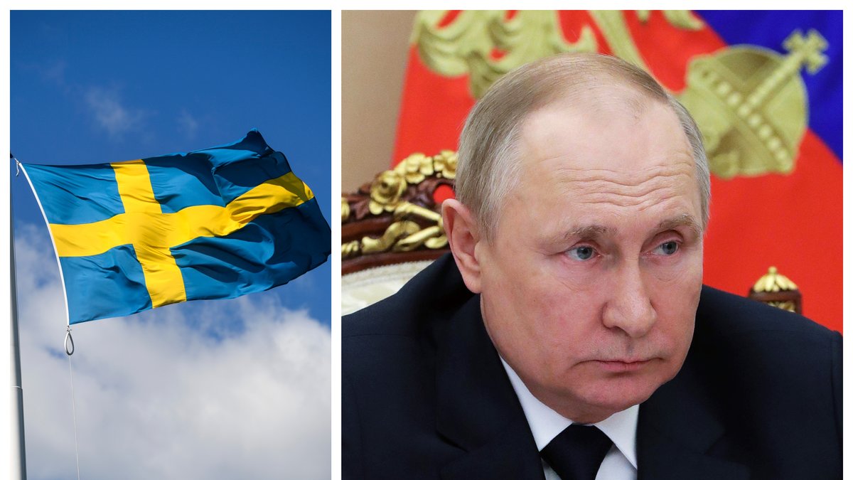 Hur kan Ryssland straffa Sverige?